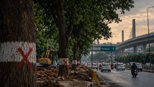 NGT Restrains Tree Felling for Hebbal Short Tunnel Project