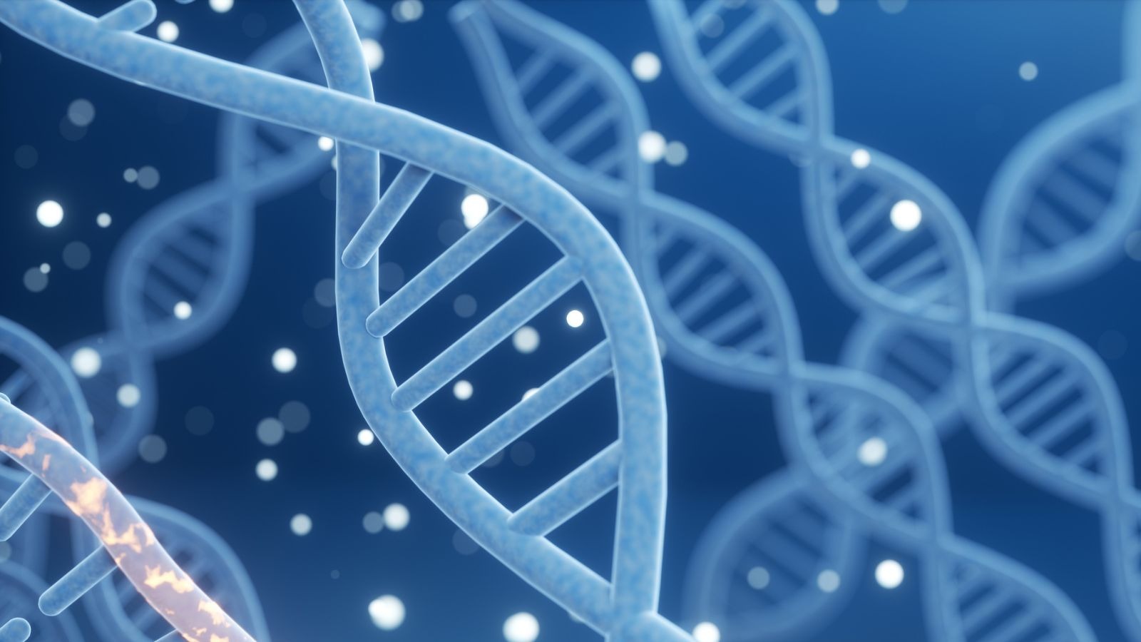 New Study Finds Nearly Everyone Carries High Genetic Risk