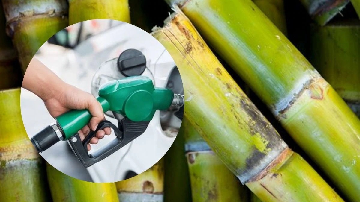 India Bars Sugar-Based Ethanol For Petrol Blending In 2026-27