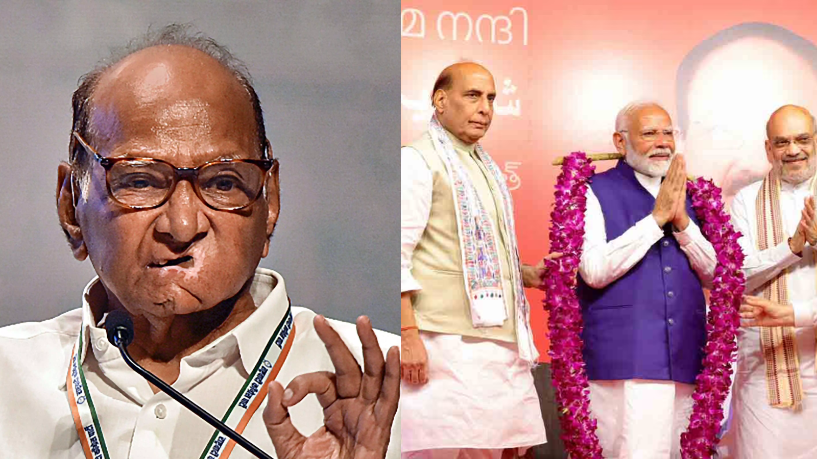 Most NCP (SP) Lawmakers Back NDA Alliance Over Congress Merger